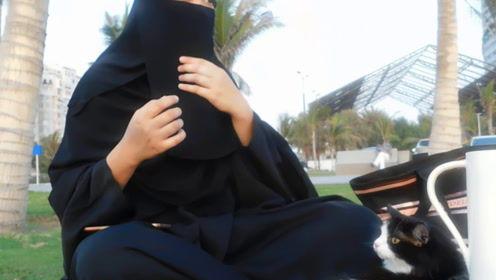 娱乐吃瓜君男团